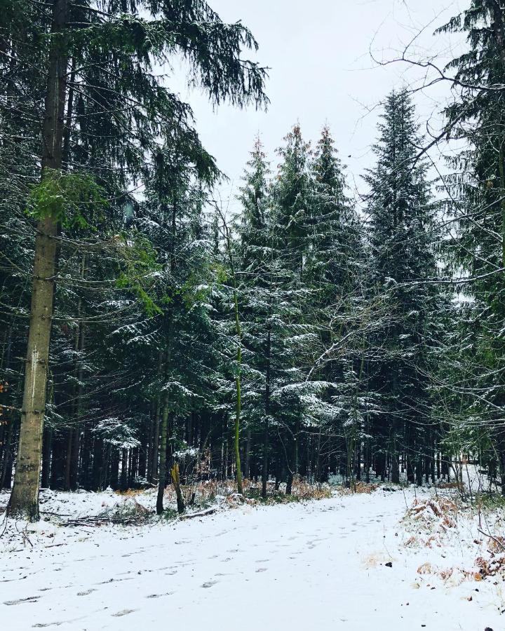 Beskid Wood Houses Jasnowice エクステリア 写真