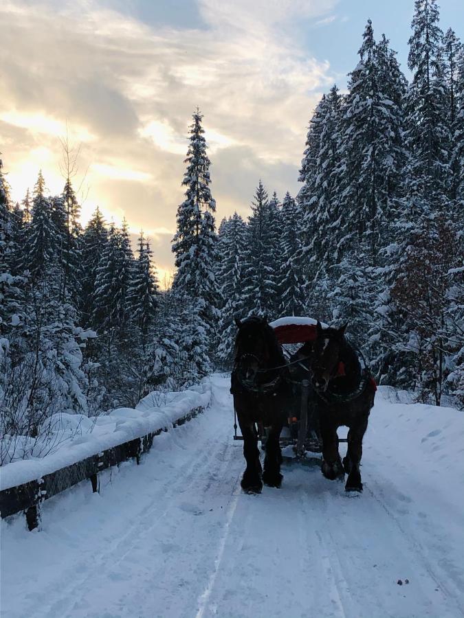 Beskid Wood Houses Jasnowice エクステリア 写真